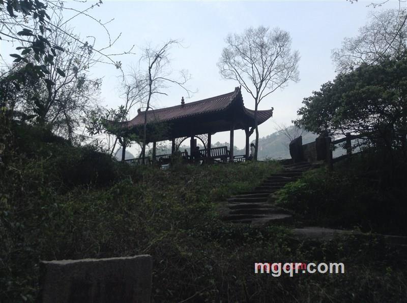 轮哥的第3张照片