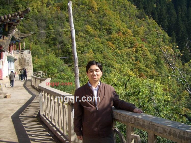 上飘的叶子的第1张照片