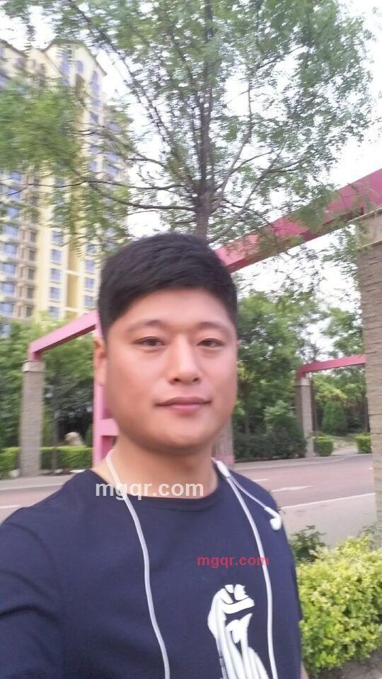 皇家不懈的第2张照片