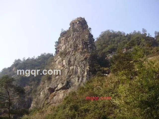 裙摆的第3张照片