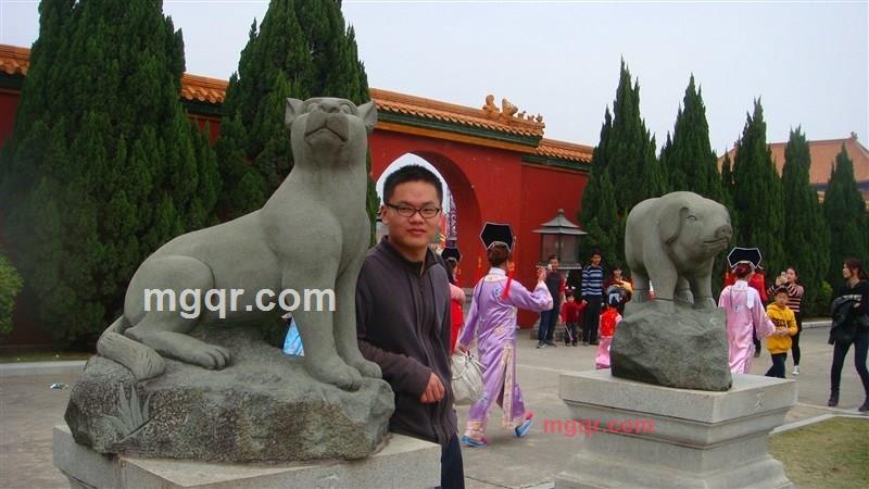 减肥小猪的第2张照片