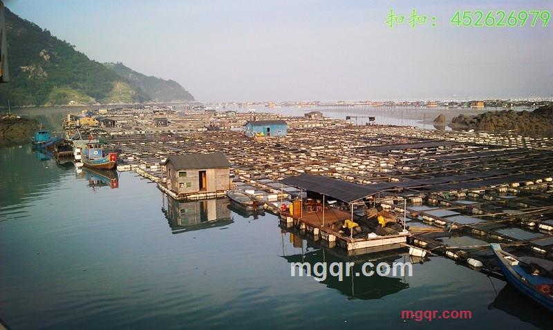 嗷嗷嗷一的第2张照片