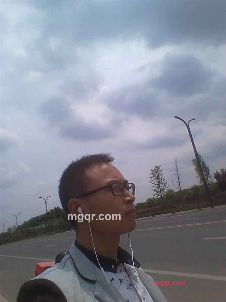 羊的孤单的第2张照片