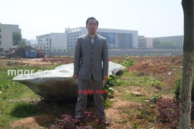 海哥飞翔的第4张照片