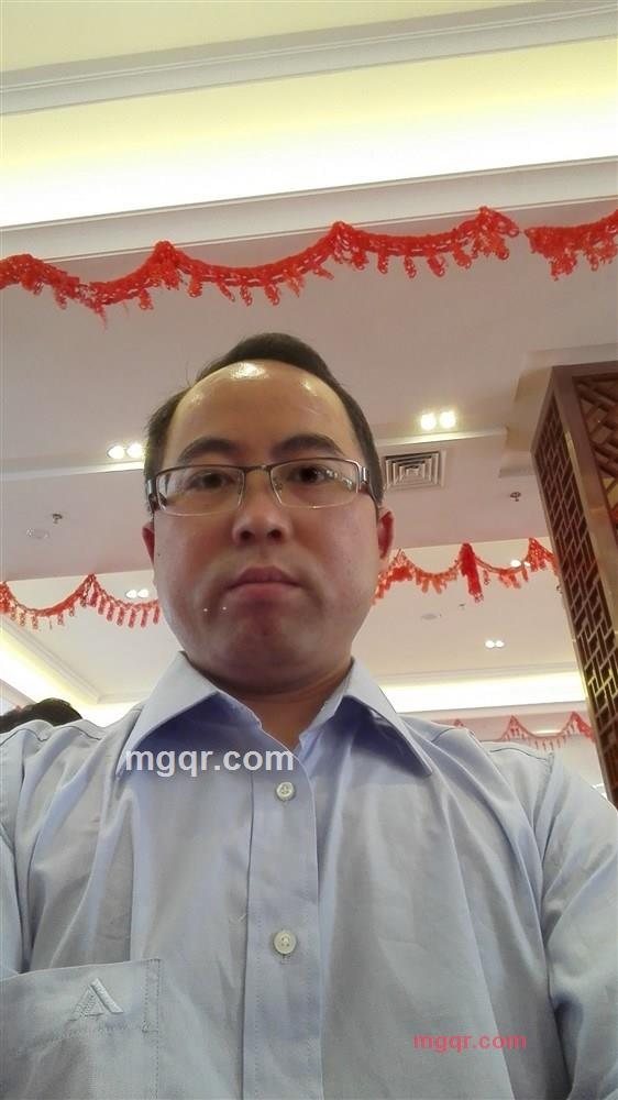 海哥飞翔的第3张照片