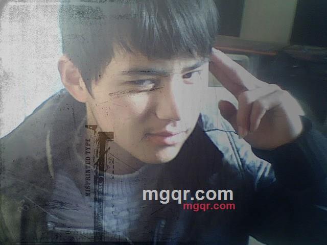 樱花已冷的第1张照片