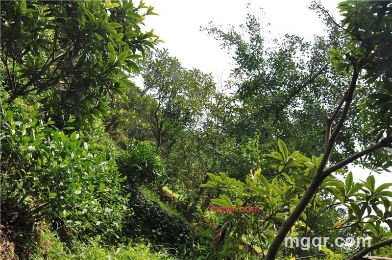 啪啪**的第19张照片