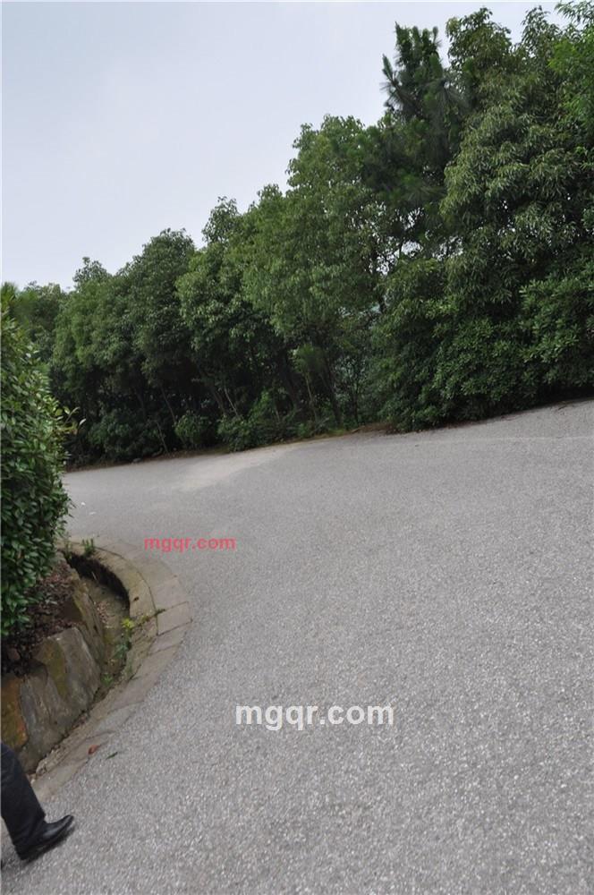 啪啪**的第15张照片