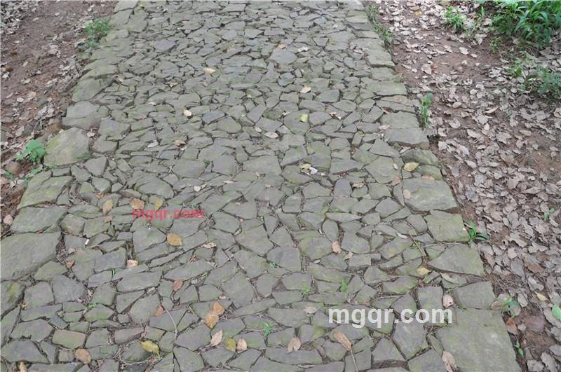 啪啪**的第12张照片