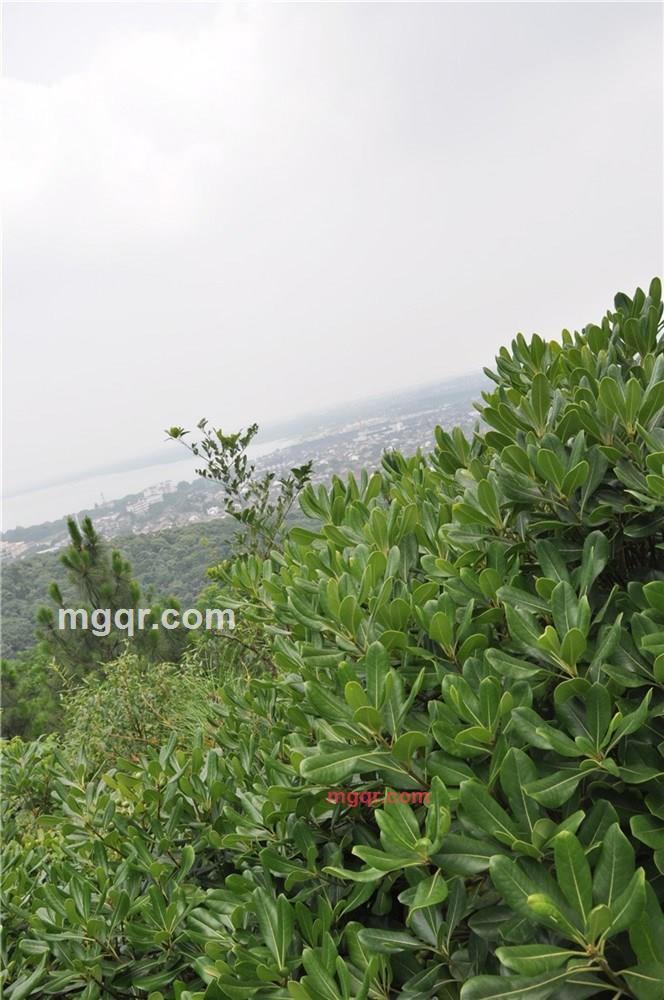 啪啪**的第17张照片