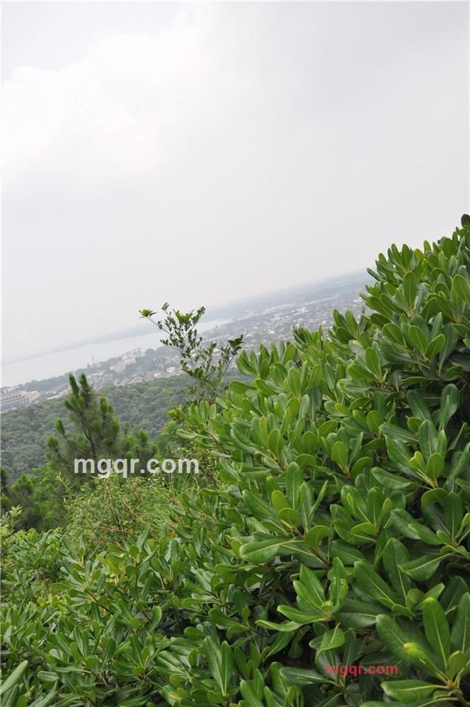 啪啪**的第16张照片