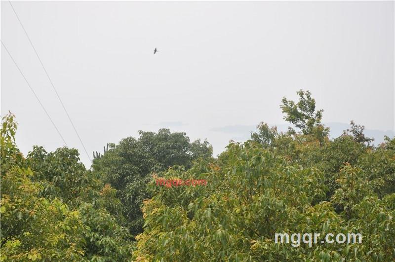 啪啪**的第9张照片