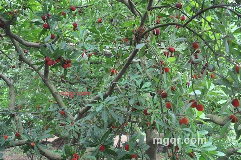 啪啪**的第3张照片