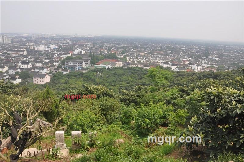 啪啪**的第2张照片