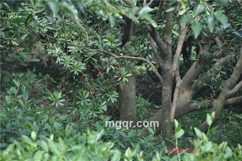 啪啪**的第5张照片