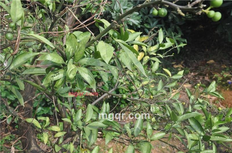 啪啪**的第4张照片