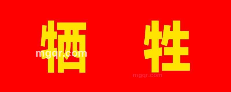 我叫阿龙的第1张照片