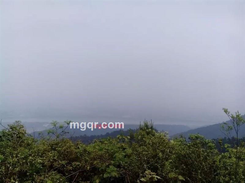 nz134的第5张照片