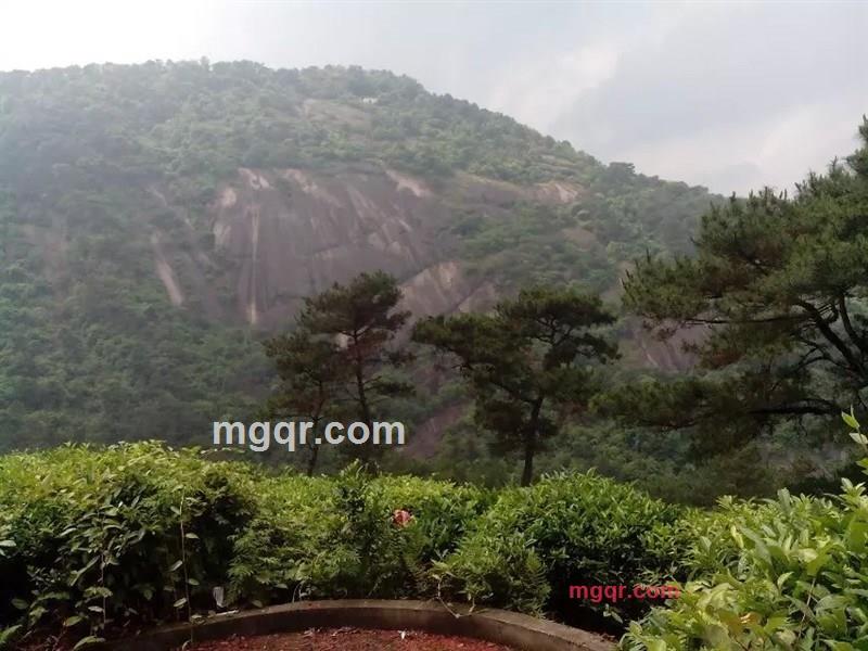 nz134的第4张照片