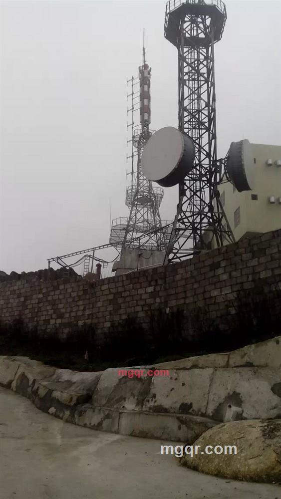 nz134的第2张照片