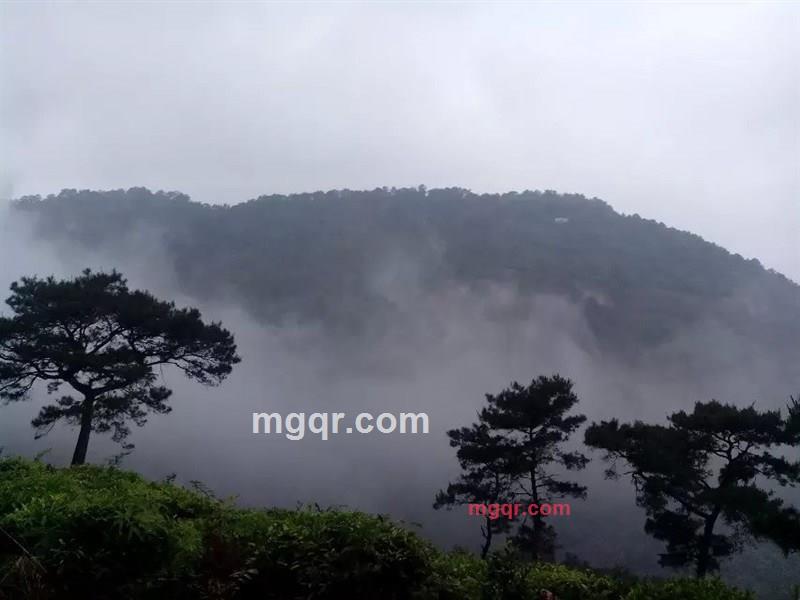 nz134的第1张照片