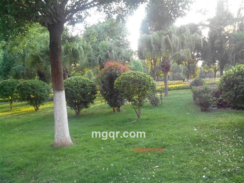 血性老男人的第1张照片