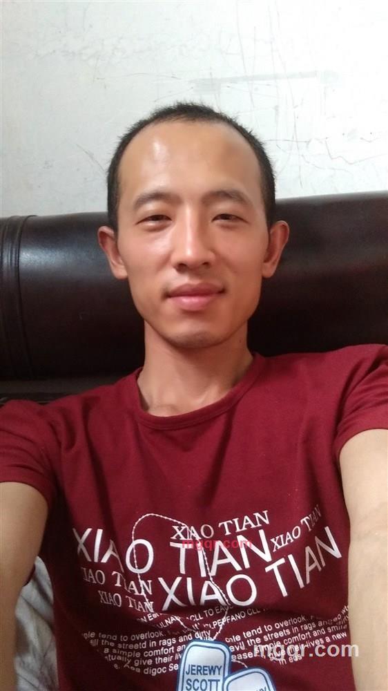 痞子情的第1张照片