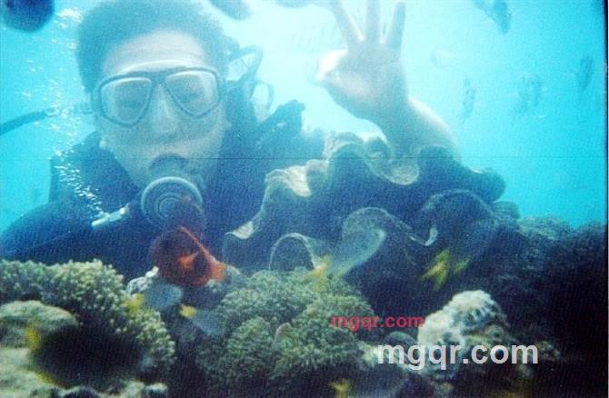 流浪的馒头的第3张照片