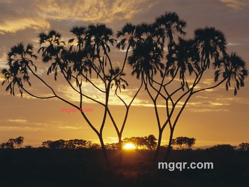 甄士隐的第1张照片