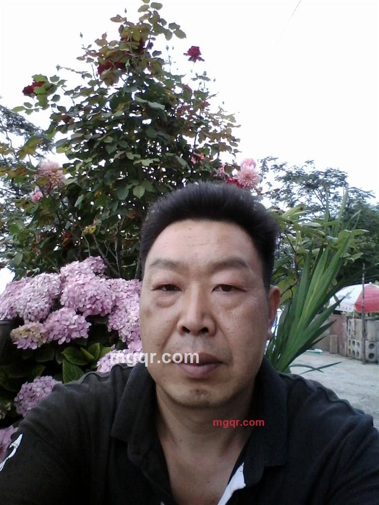 情人的眼泪的第2张照片