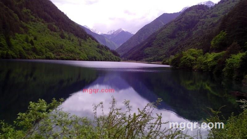 心本善的第2张照片