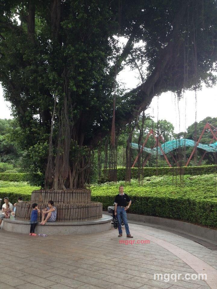 平常心qianjun的第1张照片