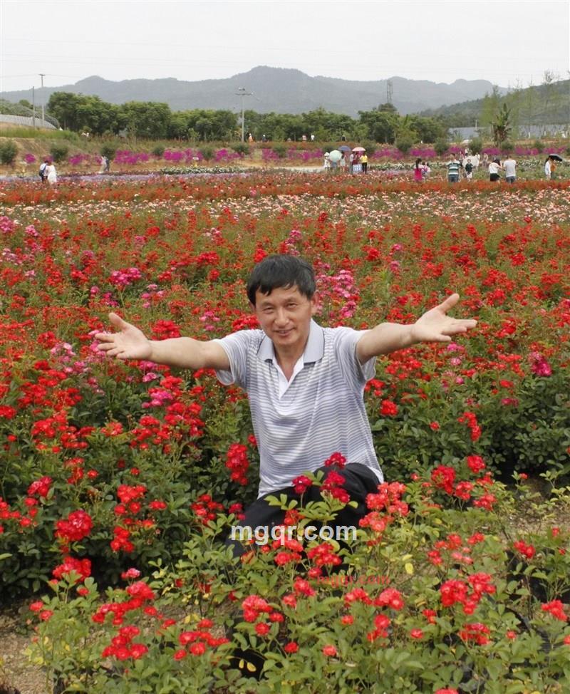 山阿哥的第5张照片