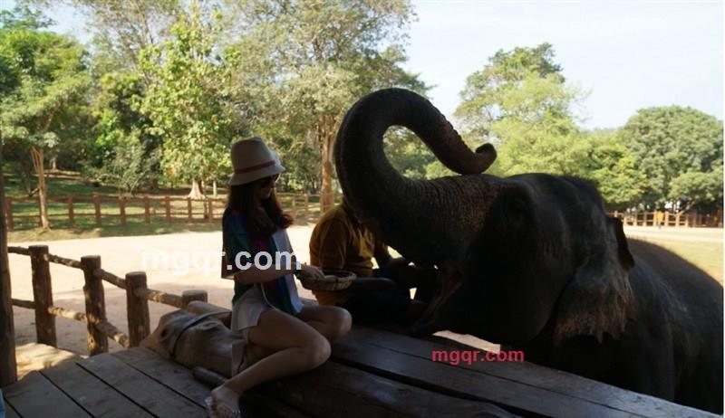 尚雅的第5张照片