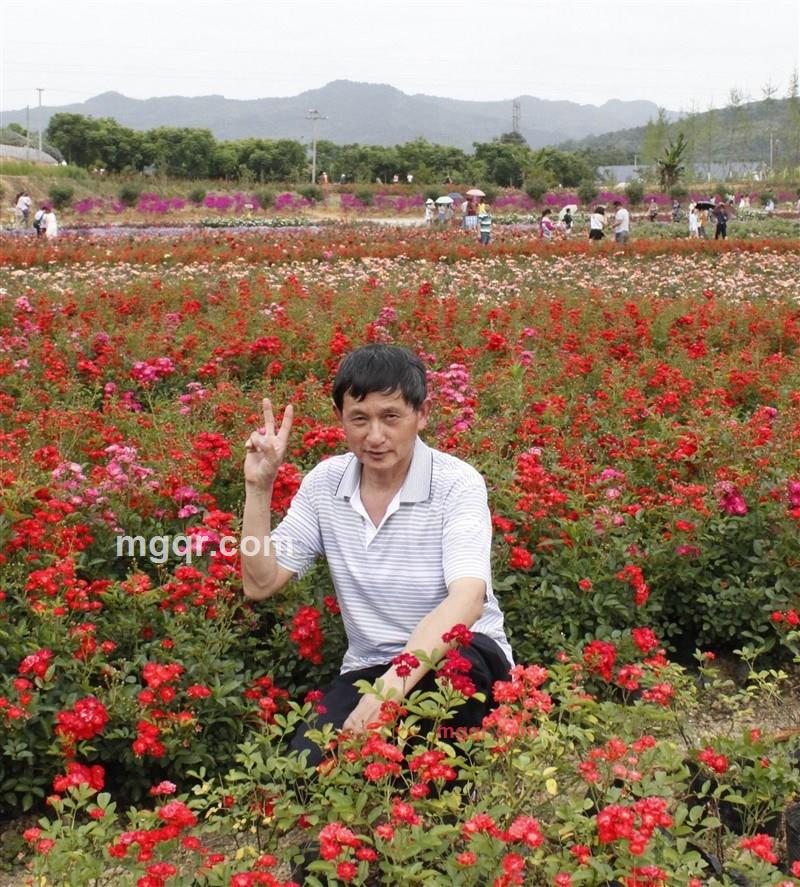 山阿哥的第4张照片