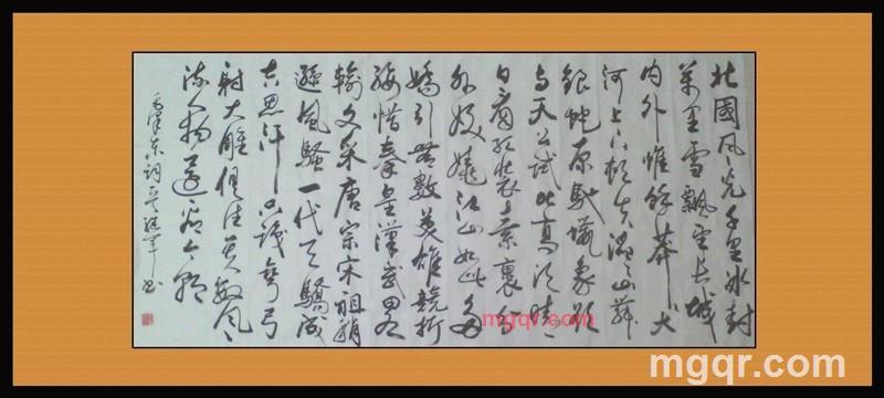 原野上的鹰的第6张照片