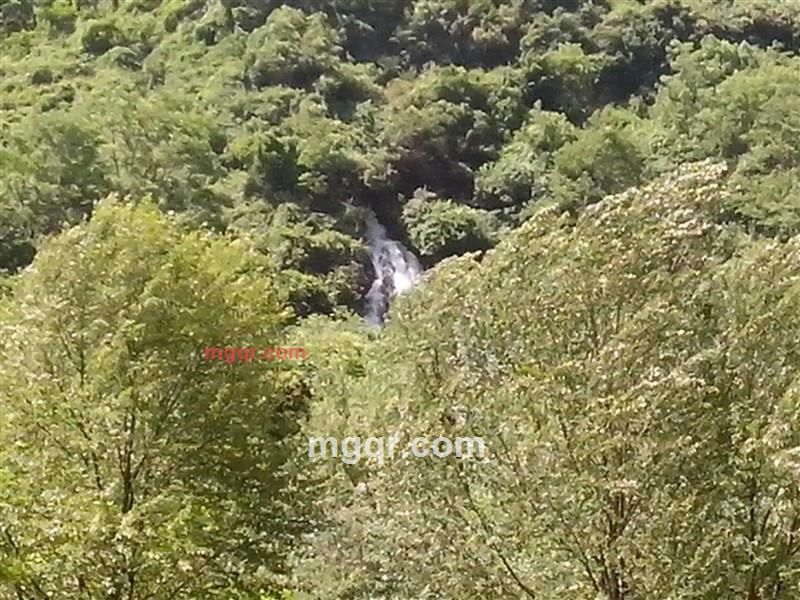 珍惜的第1张照片