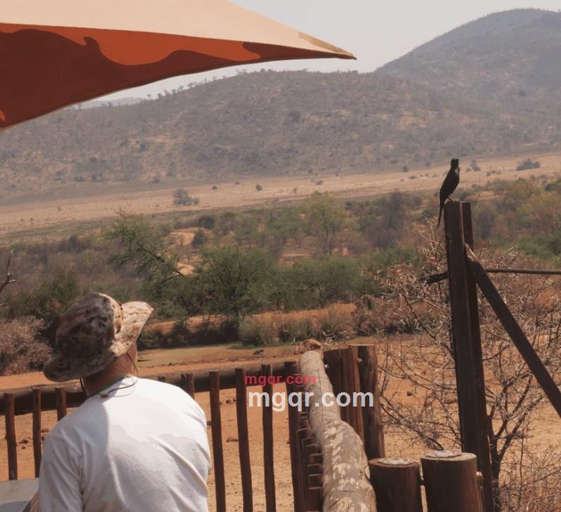 geeb的第1张照片