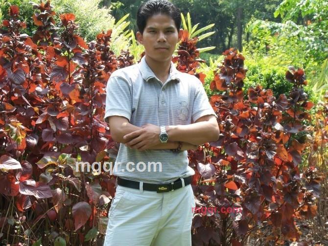 只为寻你千百度的第2张照片