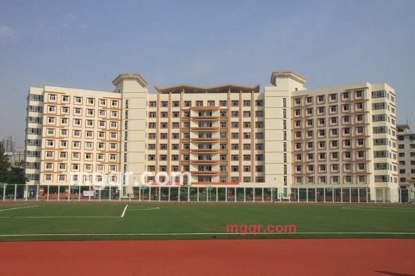 杀手58的第2张照片