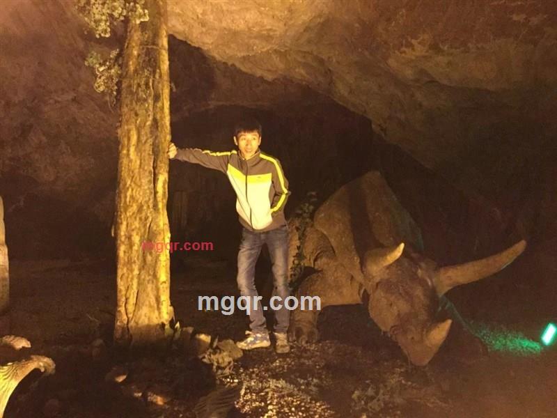 长期伙伴的第1张照片