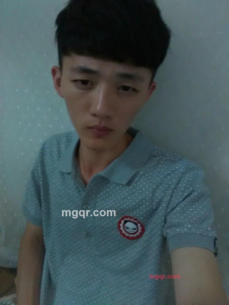 刺猬**的第1张照片