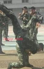 褪色D佪噫的第1张照片