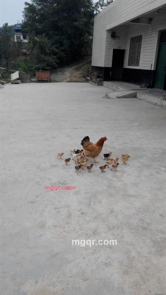 无聊空虚寂寞48的第2张照片