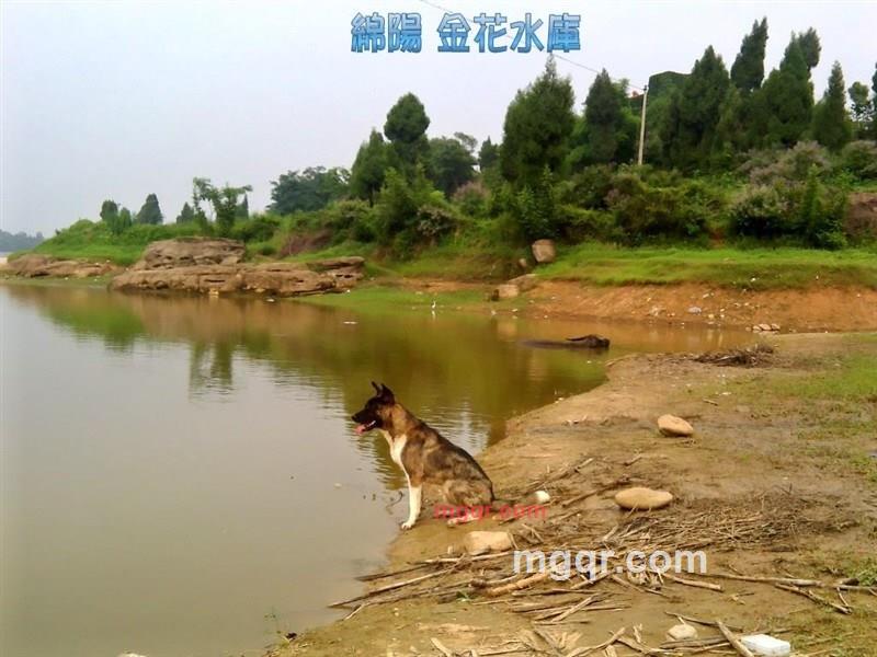 无聊空虚寂寞48的第1张照片