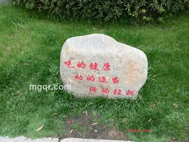 会员3682471的第6张照片