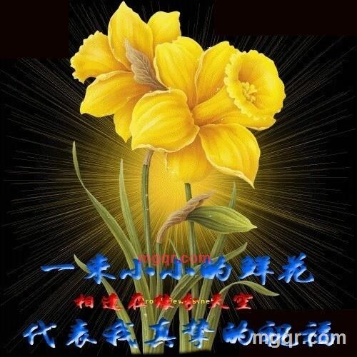 会员3682471的第4张照片