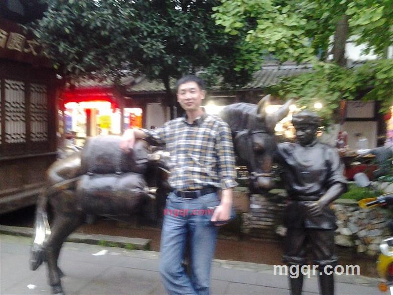 飘零孤枝的第1张照片