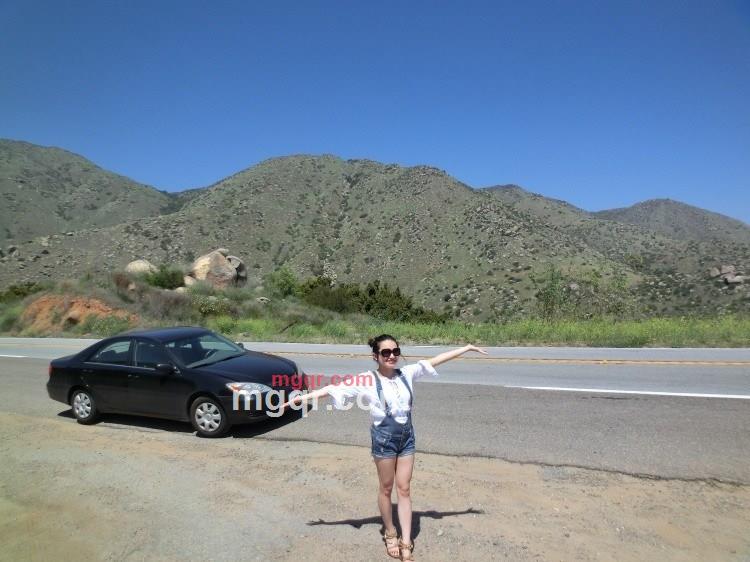 淡定的眼光的第3张照片