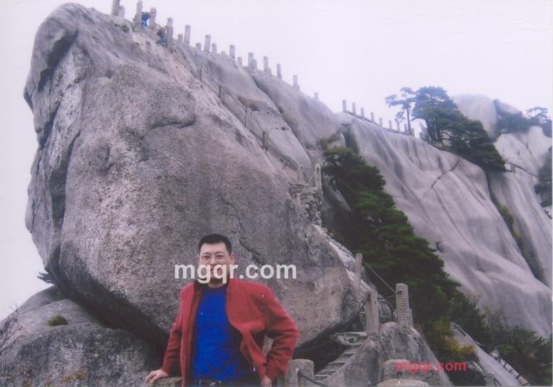 心似莲开的第2张照片